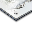 Art by Brice Marden  Acrylic print