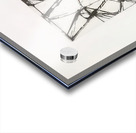 Art by Brice Marden   Acrylic print