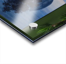 Rene Magritte Acrylic print