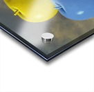 Rene Magritte Acrylic print