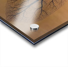 Rene Magritte Acrylic print