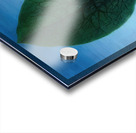 Rene Magritte Acrylic print