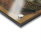 Rene Magritte Acrylic print