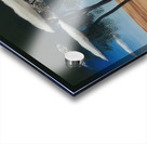 Rene Magritte Acrylic print