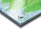 Rene Magritte Acrylic print