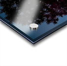 Rene Magritte Acrylic print