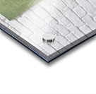 Joan Miro Acrylic print