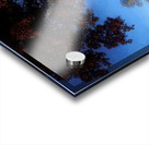 Maxfield Parrish 3 Acrylic print