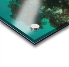 Maxfield Parrish 2 Acrylic print