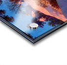 Maxfield Parrish 8 Acrylic print