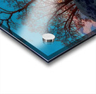 Maxfield Parrish 10 Acrylic print