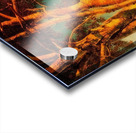 Maxfield Parrish 11 Acrylic print