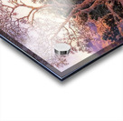 Maxfield Parrish 12 Acrylic print