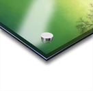 Maxfield Parrish 20 Acrylic print