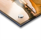 Henri Rousseau 5 Acrylic print