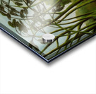 Henri Rousseau 8 Acrylic print