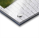 Henri Rousseau 11 Acrylic print