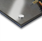 Henri Rousseau 14 Acrylic print