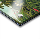 Henri Rousseau 15 Acrylic print