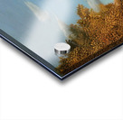 Henri Rousseau 16 Acrylic print