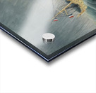 Henri Rousseau 25 Acrylic print