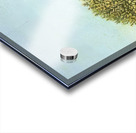 Henri Rousseau 27 Acrylic print