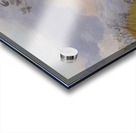 Henri Rousseau 33 Acrylic print