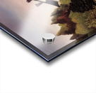 Henri Rousseau 38 Acrylic print