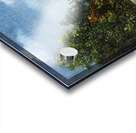 Henri Rousseau 41 Acrylic print