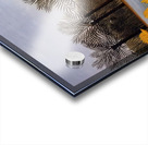 Henri Rousseau 50 Acrylic print