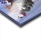 Henri Rousseau 53 Acrylic print