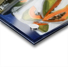 Richard Diebenkorn 28 Acrylic print