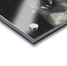 Richard Diebenkorn 38 Acrylic print