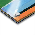 Richard Diebenkorn 20 Acrylic print