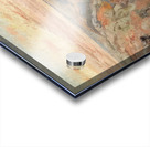 Armand Guillaumin 47 Acrylic print