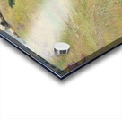 Armand Guillaumin 56 Acrylic print