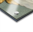 Emile Bernard 17 Acrylic print