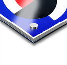 Sonia Delaunay 19 Acrylic print