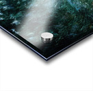 CLAUDE MONET 7 Acrylic print