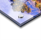 CLAUDE MONET 65 Acrylic print