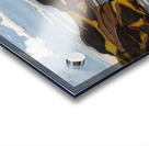 Lawren Harris  67 Acrylic print