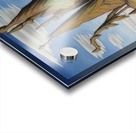 Lawren Harris  71 Acrylic print