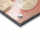 Hilma af Klint 2 Acrylic print