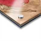 New Upload   Hilma af Klint 5 Acrylic print