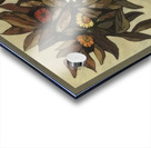 OUSWALDO GUAYASAMIN  19 Acrylic print