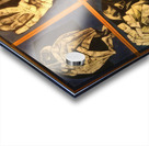 OUSWALDO GUAYASAMIN  22 Acrylic print