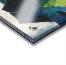 OUSWALDO GUAYASAMIN  31 Acrylic print