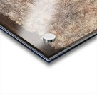 JEAN DUBUFFET 14 Acrylic print