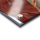 Georgia OKeeffe 2 Acrylic print