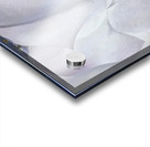 Georgia OKeeffe 11 Acrylic print